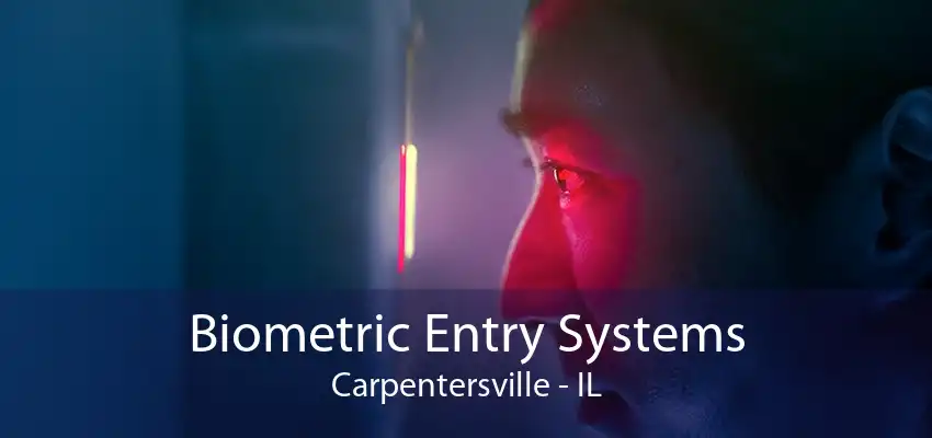 Biometric Entry Systems Carpentersville - IL