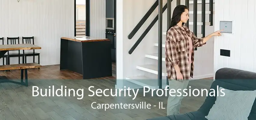 Building Security Professionals Carpentersville - IL