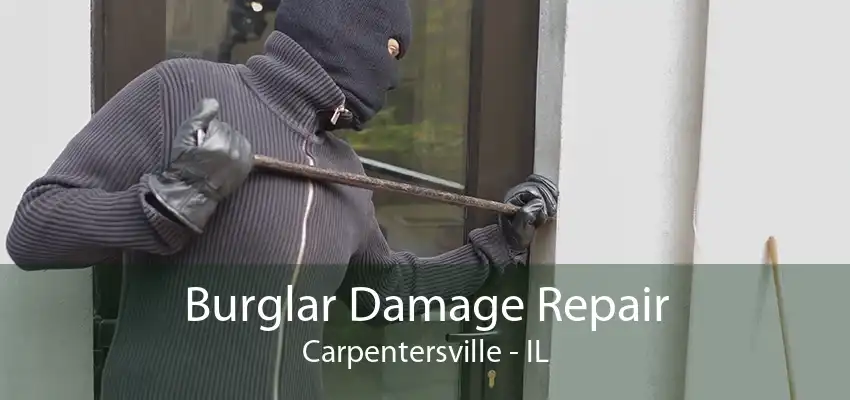 Burglar Damage Repair Carpentersville - IL