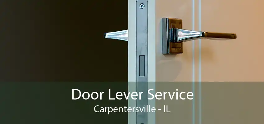 Door Lever Service Carpentersville - IL