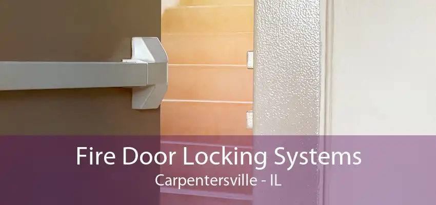 Fire Door Locking Systems Carpentersville - IL