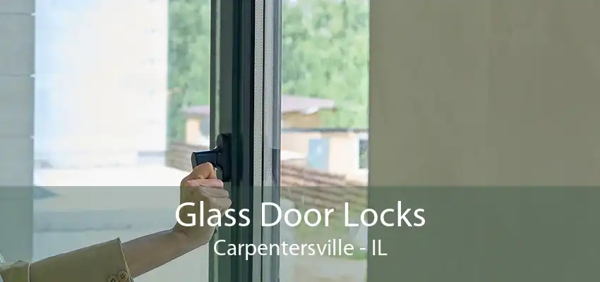 Glass Door Locks Carpentersville - IL