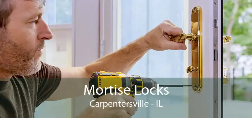 Mortise Locks Carpentersville - IL