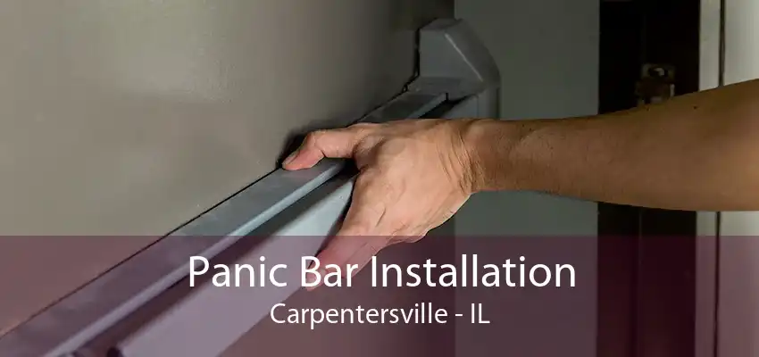 Panic Bar Installation Carpentersville - IL