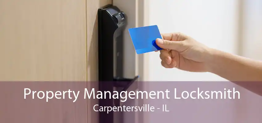 Property Management Locksmith Carpentersville - IL