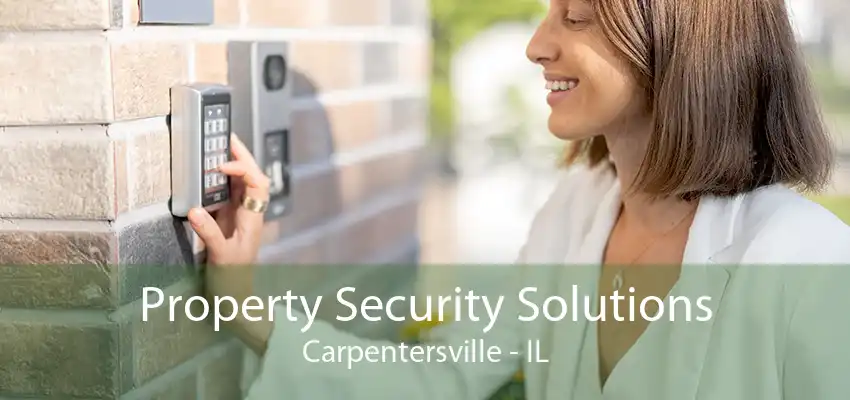 Property Security Solutions Carpentersville - IL