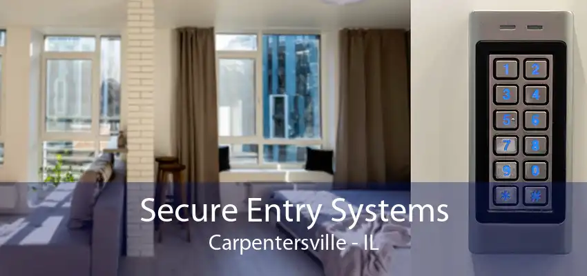 Secure Entry Systems Carpentersville - IL