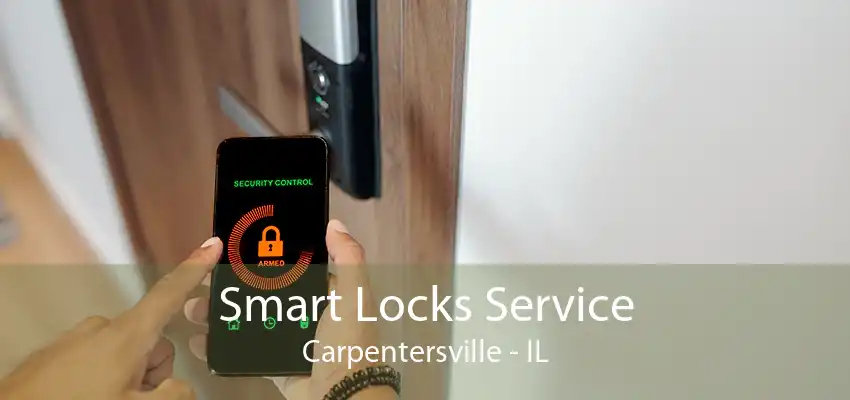 Smart Locks Service Carpentersville - IL